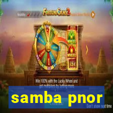 samba pnor