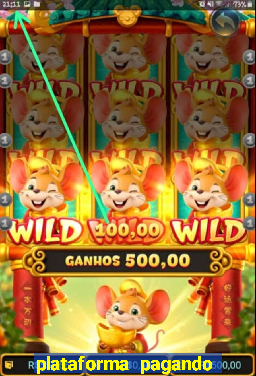 plataforma pagando no cadastro slots