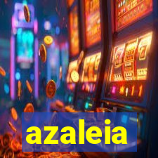 azaleia-br.com