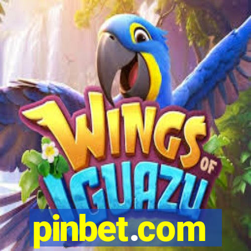 pinbet.com