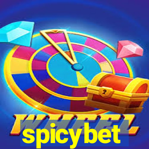 spicybet-2.com