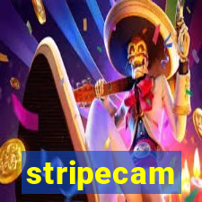 stripecam