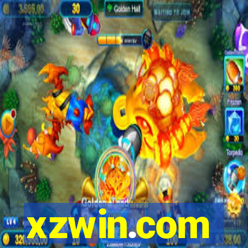 xzwin.com